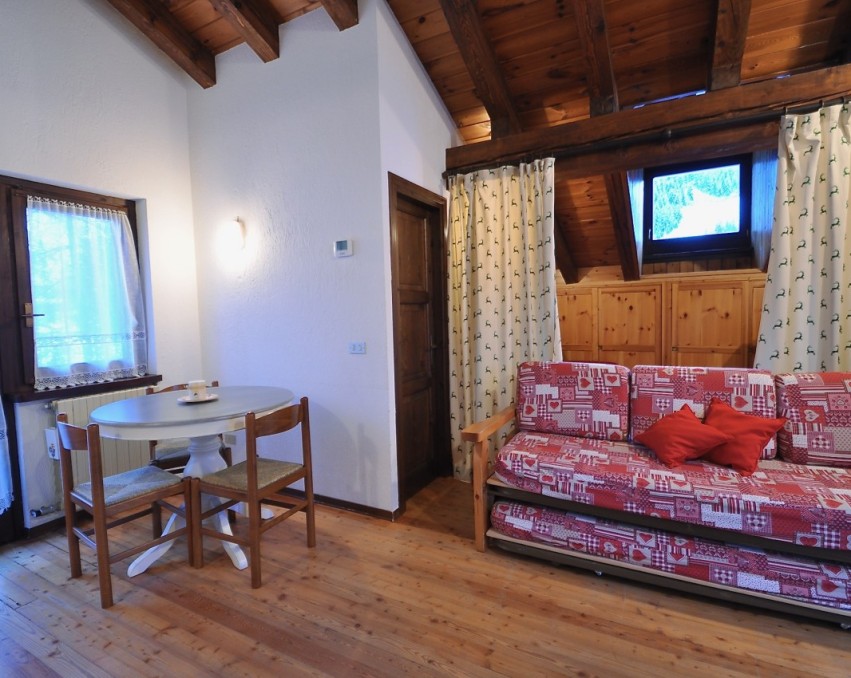 Open-plan Attic with